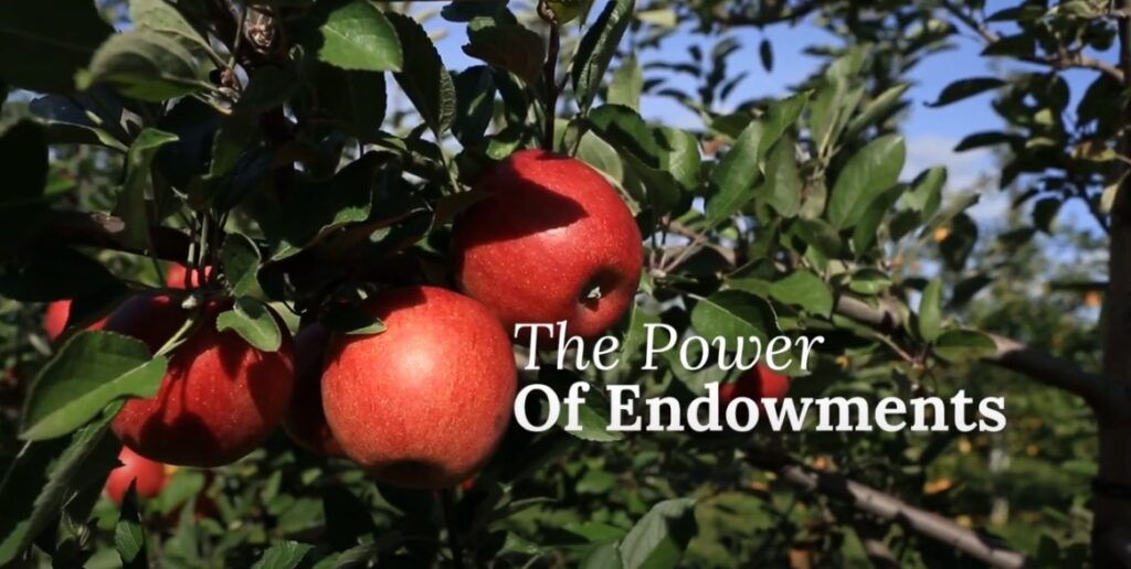 Jewish community endowments video