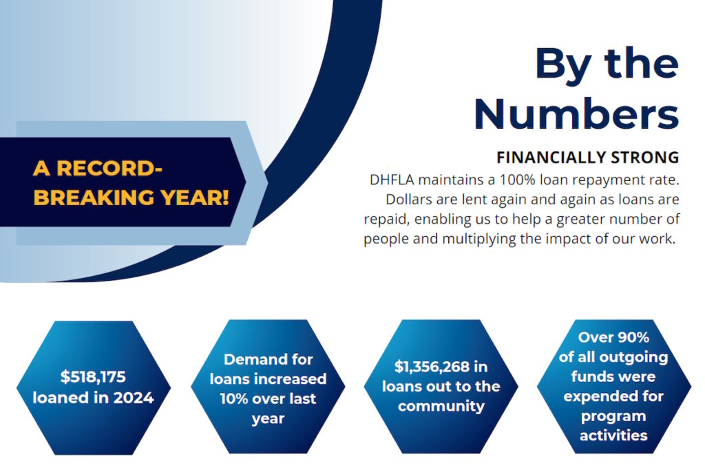 DHFLA Annual Report 2024 numbers infographic